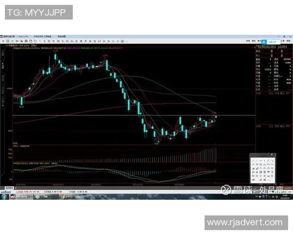 上海羽毛球队与深圳羽毛球队赛后复盘分析比赛节奏与战术对比