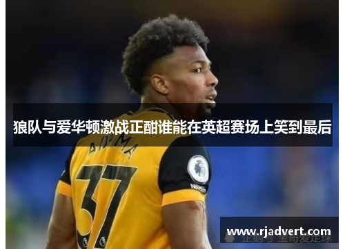 狼队与爱华顿激战正酣谁能在英超赛场上笑到最后