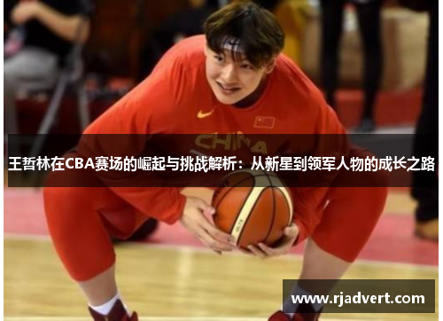 王哲林在CBA赛场的崛起与挑战解析：从新星到领军人物的成长之路